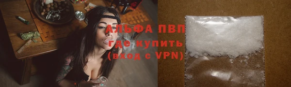 дживик Баксан
