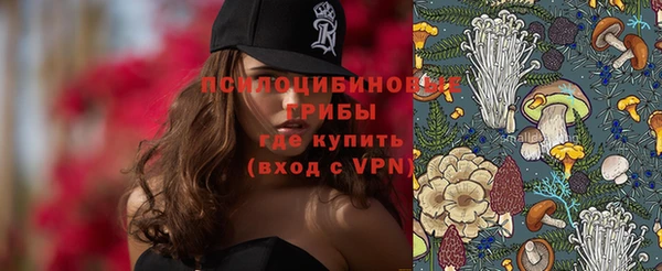 дживик Баксан