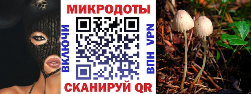 мориарти формула  Петровск  Псилоцибиновые грибы MAGIC MUSHROOMS 